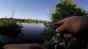 Караси на мормышинг, поиск крупных рыб. Мормышинг. #fishing #мормышка #мормышинг #рыбалка #отдых