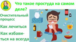 Что такое простуда на самом деле Лечение Как избавиться на всегда