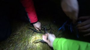 Ловля налима в Карелии осенью.