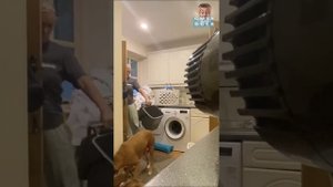 смешной юмор до чего смешные!