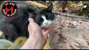 Быт бойцов СВО