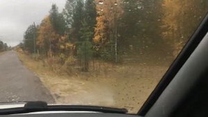 Печора . Белый Ю 25.09.23