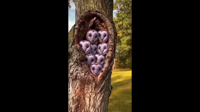 Подборка интересных (невероятных) фактов #10