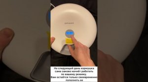 Обзор автоматической кормушки Xiaomi Petwant f6