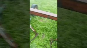 Видео для Авито. Техника поля. КРН 5.6 с ножницами