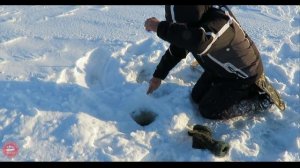 НАШЛИ ОЗЕРО В ТАЙГЕ А ТАМ РЫБА КИШИТ | ТОМСКАЯ ОБЛАСТЬ | ПАРАБЕЛЬ