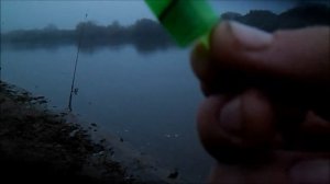 Фидерная рыбалка на Припяти.Рыбалка в Беларуси.Лунинецкий рай.