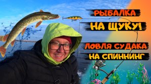 Спиннинг в октябре. Щука и судак. fishing. Рыбалка на спиннинг. Простая рыбалка. Судак на джиг 2021