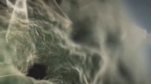 10 Вещей, о Предназначении Которых Вы Не Знали