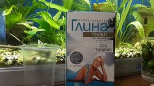 Как я сажу растения в стаканчики.