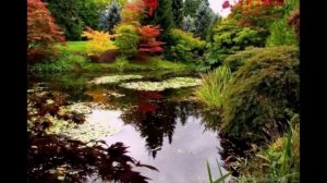 Красивая природа России