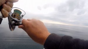 Рыбалка в черном море