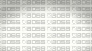 Roland Blogger выпуск 1 Басовый Перегруз BOSS ODB-3
