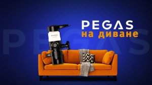 Pegas на диване / Ecotap Fit.mp4