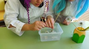 Почему одуванчик не намокает.mp4