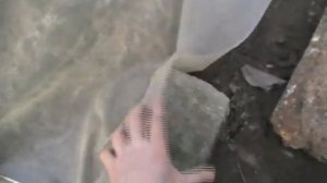 Посев томатов под зиму. От посева до урожая. Уникальный способ выращивания без рассады.