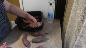 БАТАТ✅ Полезные Свойства✅ Для кого как ЛЕКАРСТВО, а для кого ЯД ✅