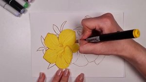 Как нарисовать цветы маркерами. Урок по скетчингу для начинающих