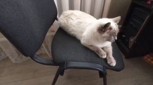 ЗАБРАЛИ ДОМОЙ? ЗАКАЗАЛИ МЕЛОЧЬ? ВЫ НАС ПОДДЕРЖАЛИ  ХОЧЕТСЯ И НАМ??  WE LIVE IN THE KUBAN ???