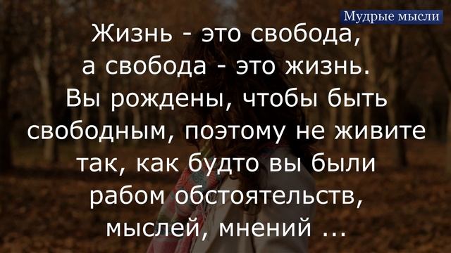 Высказывания о Жизни. Мудрость Жизни