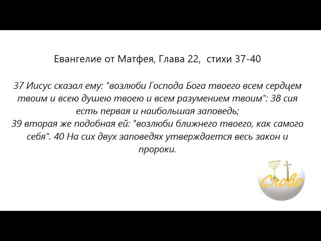 Ценности  жизни