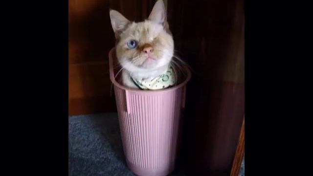 БОЛЬШОЙ СЕКРЕТ ДЛЯ МАЛЕНЬКОЙ КАМПАНИИ смотреть онлайн