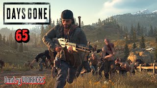 Прохождение Days Gone ''Жизнь после''  #  65  {2019} Ps5