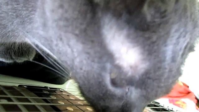 ganja & guitar смотреть онлайн