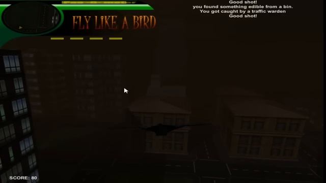Симулятор голубя !