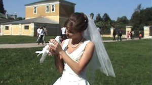 Молодожены выпускают голубей