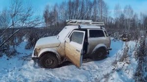 Клещи весной, информация, где искать металлолом.