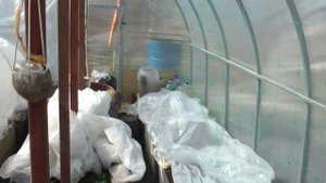 Теплица Лидер Спустя шесть лет эксплуатации