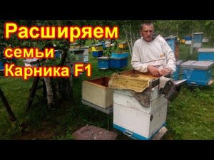 Расширяем семьи, Карника. Медосбор 2019
