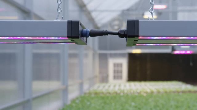 GrowElite® Full Spectrum LED Grow Lights