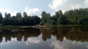 река Луза в районе дер. Каравайково. Июль 2021 г