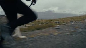 Обзор Thule Motion 3