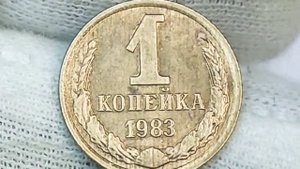 Сколько стоят разновидности. 1 копейка 1982 - 1983 года.