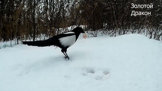 Любая крупа и 5 рублей принесут достаток в дом...