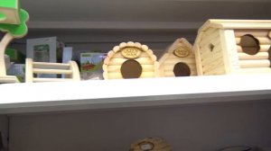 VLOG Сходили с Викусей к педиатру. Покупки для хомячков