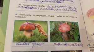 Окружающий мир/3 кл/Часть 1/Рабочая тетрадь/Плешаков/ В Царстве грибов/28.11.21