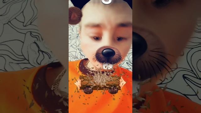 бобер