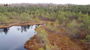 Озеро Лихое