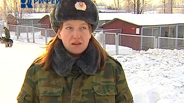 Рабочий день Кинолог от 21 02 13 смотреть онлайн