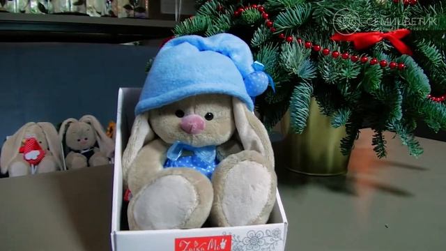 Зайка Ми гномик в голубом смотреть онлайн