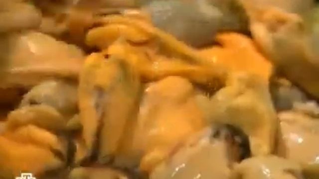 ПАШТЕТ ИЗ МИДИЙ. смотреть онлайн