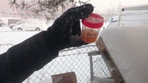 Тест на текучесть масел FANFARO, TOTAL, MB, LM