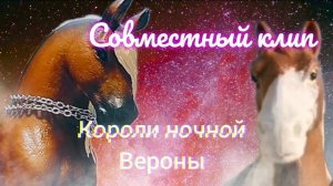 Совместный клип с каналом @Loschadi02. Короли ночной вероны...