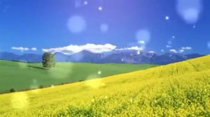 Истории из жизни. Некрасивая Света. Женские истории.