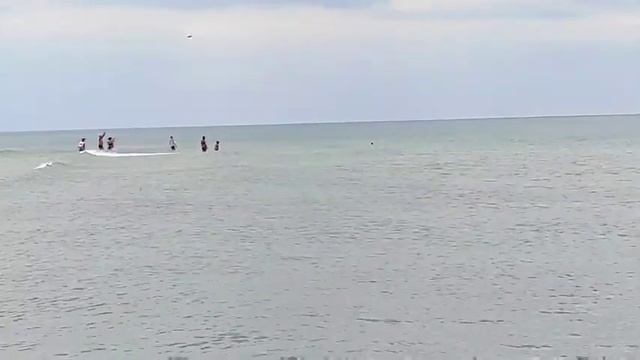 Дельфины в Лазурном - Лазурное, Отдых на море, Херсонская область, Море, Дельфины