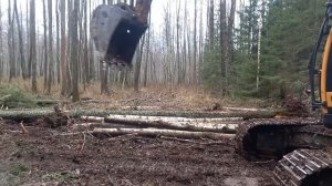 торфокарьер, заготовка леса для строительства дороги.